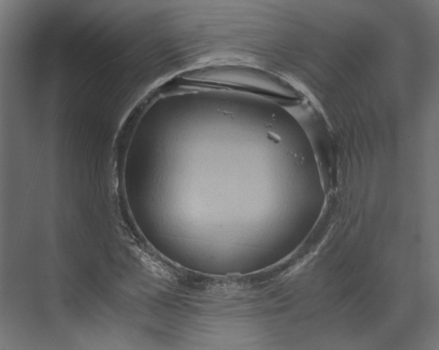 X0000073410973200608181051