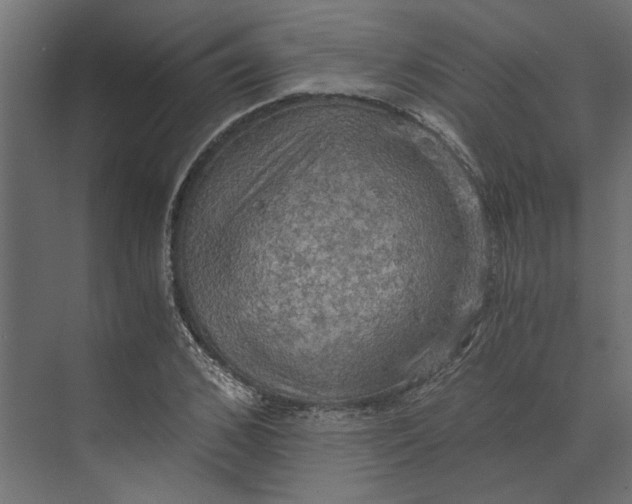 X0000073410976200608181051