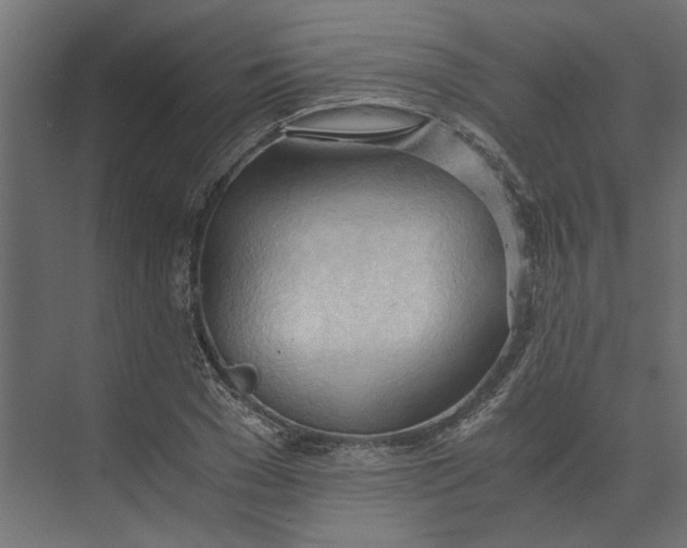 X0000073410977200608181051