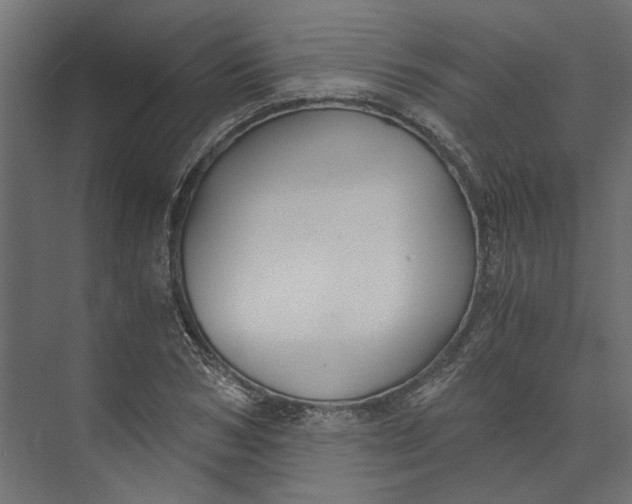 X0000073410978200608181051