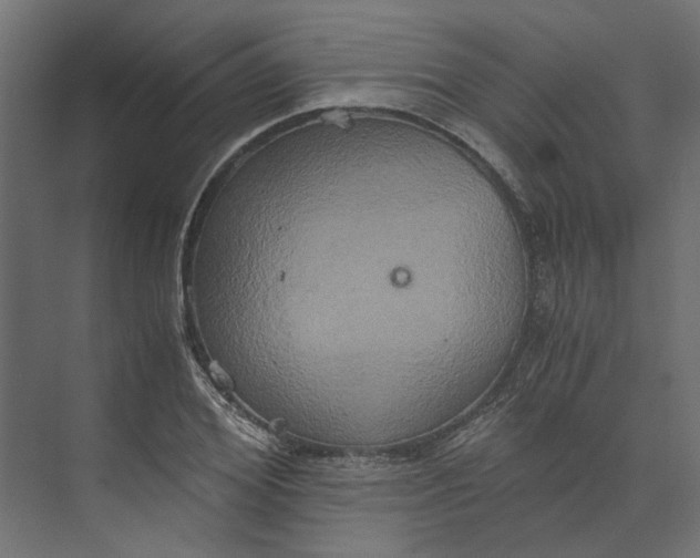 X0000073410980200608181051