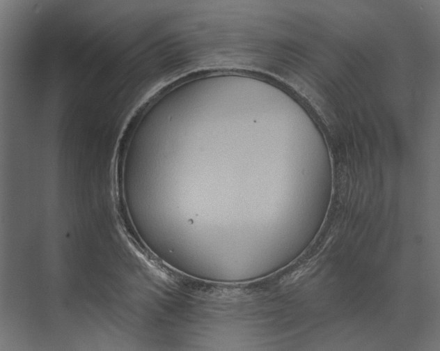 X0000073410982200608181051