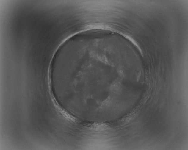 X0000073410983200608181051