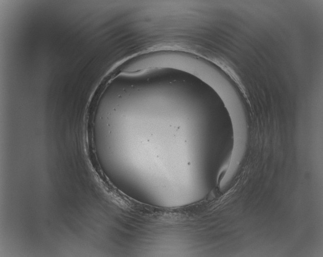 X0000073410984200608181051