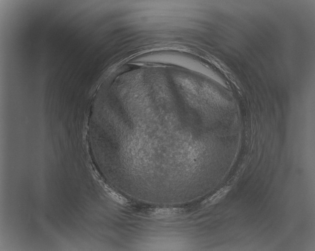 X0000073410985200608181051