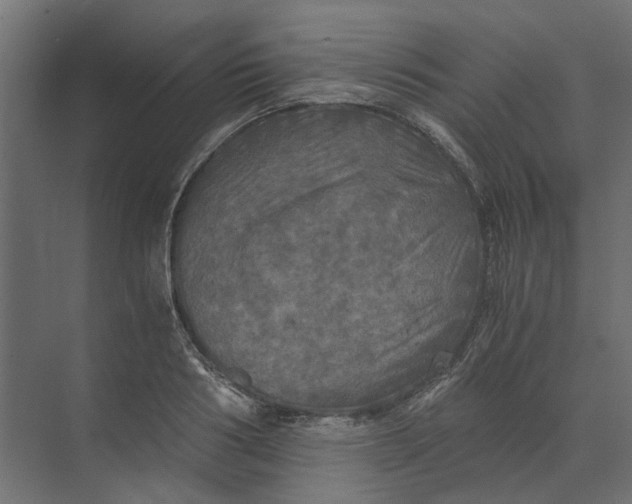 X0000073410986200608181050