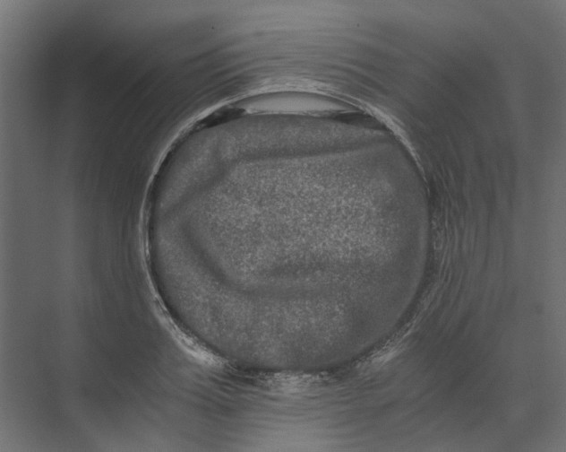 X0000073410987200608181050