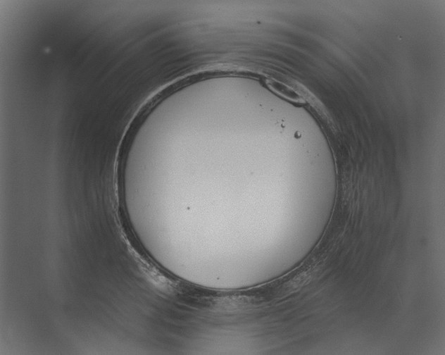 X0000073410988200608181050