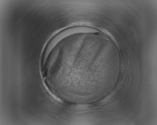 X0000073410989200608181050