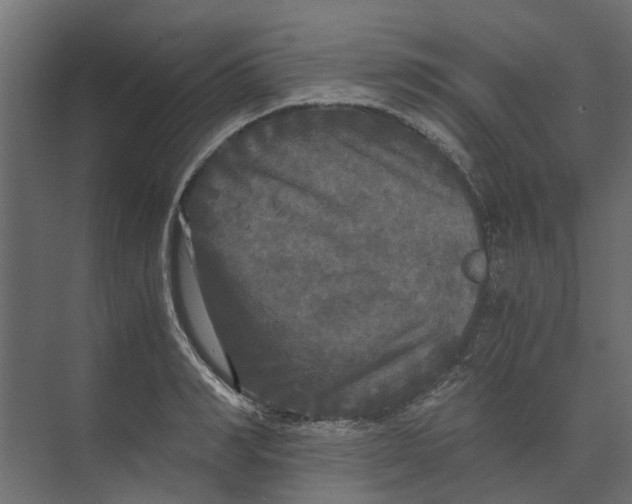 X0000073410990200608181050