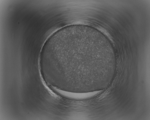 X0000073410991200608181050