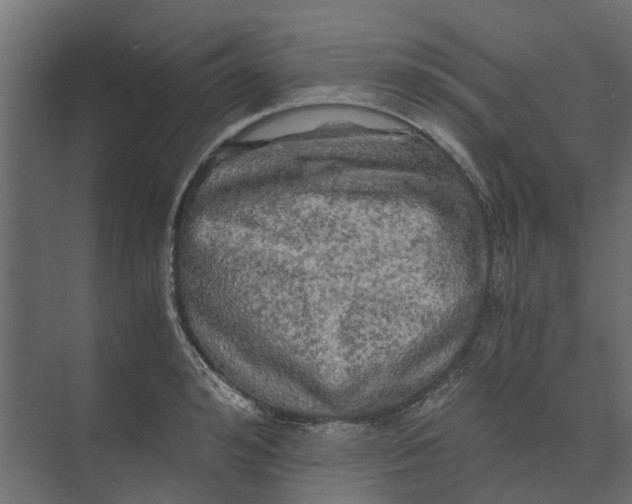 X0000073410992200608181050