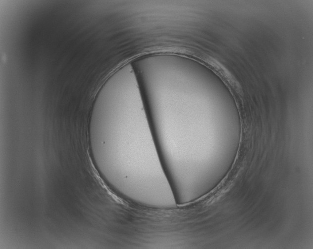 X0000073410993200608181050