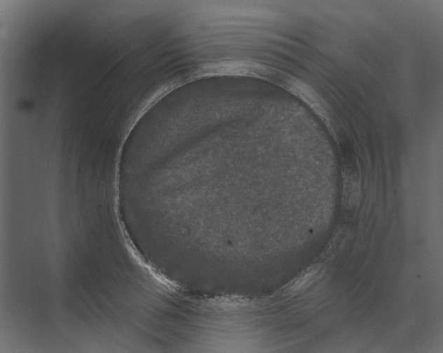 X0000073410994200608181050