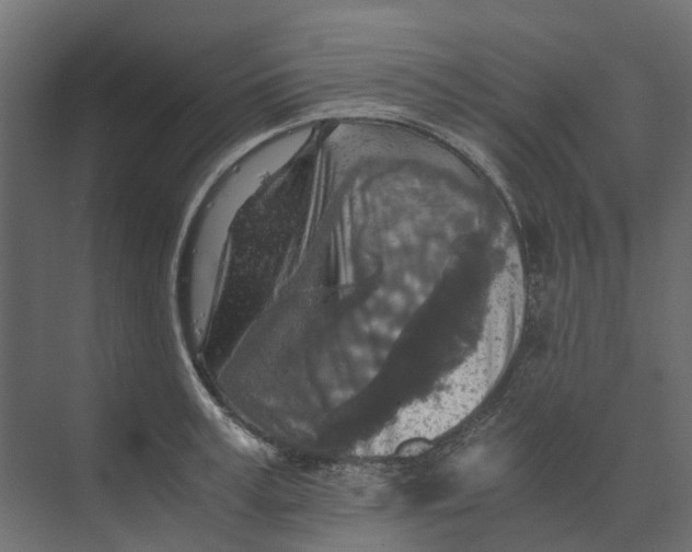 X0000073410995200608181050