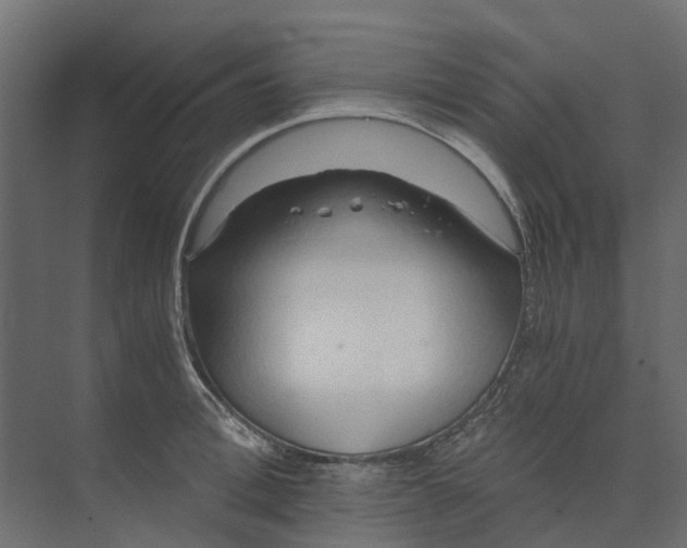 X0000073410996200608181050