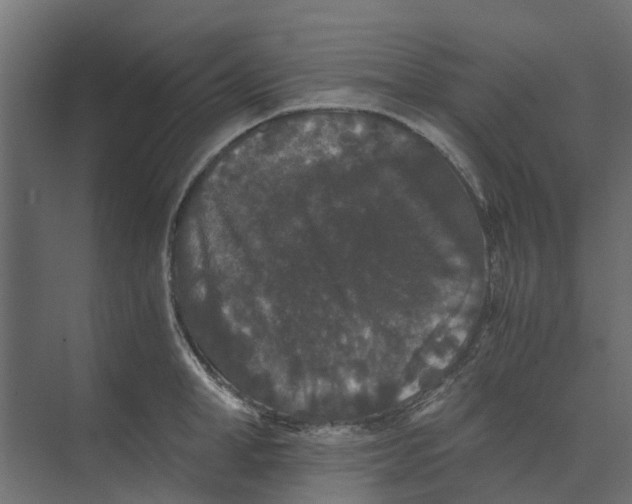 X0000073410998200608181050