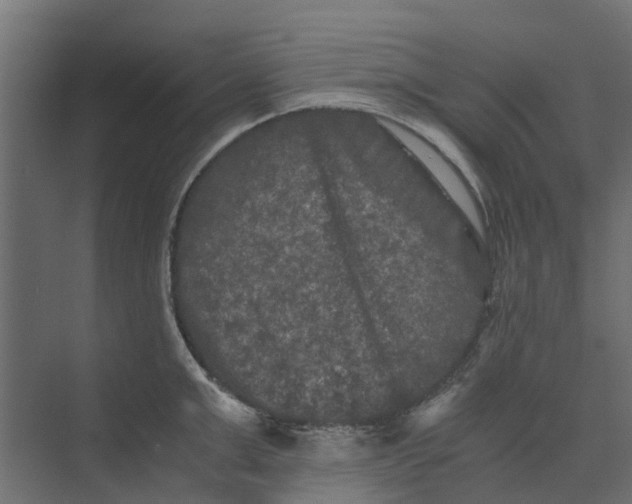 X0000073410999200608181050