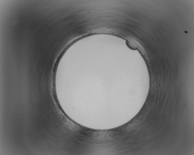 X0000073411000200608181050