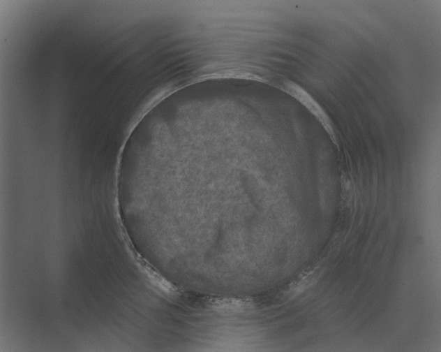 X0000073411002200608181050