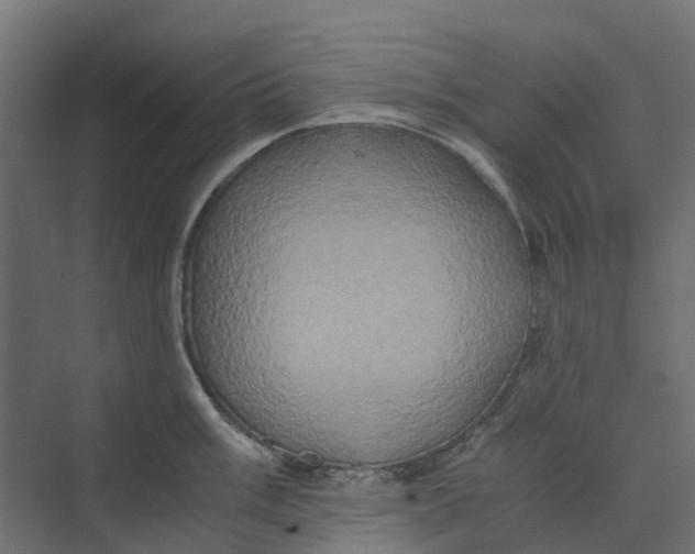 X0000073411003200608181050