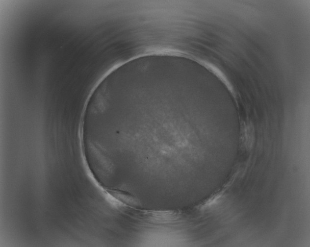 X0000073411007200608181050