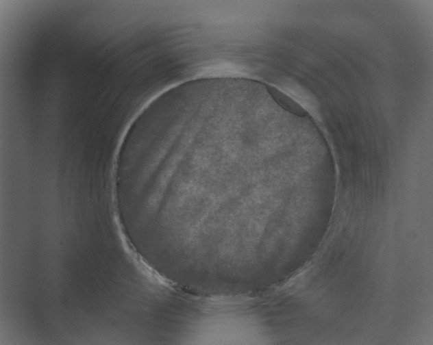 X0000073411008200608181050