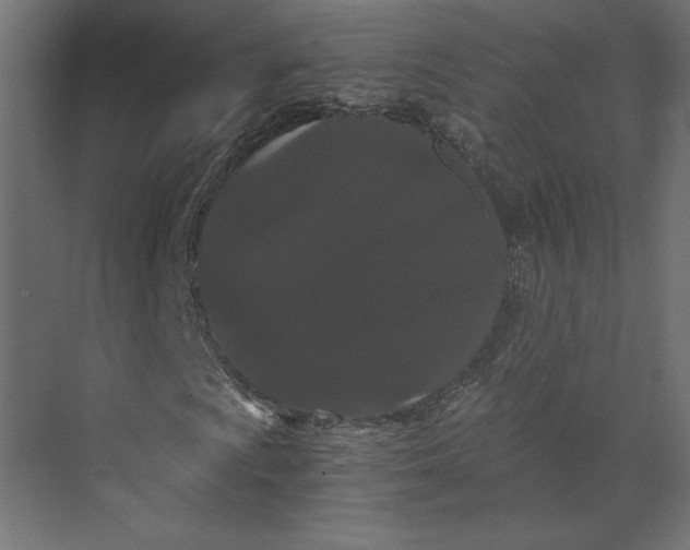 X0000073411009200608181049