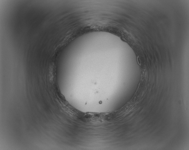 X0000073411012200608181049