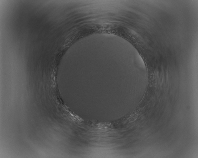 X0000073411013200608181049