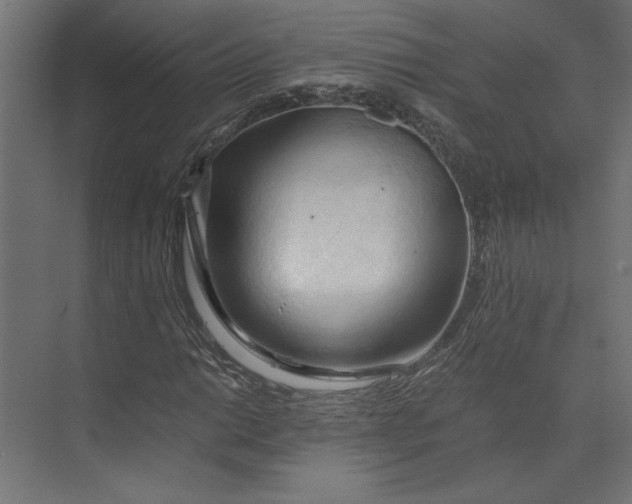 X0000073411014200608181049