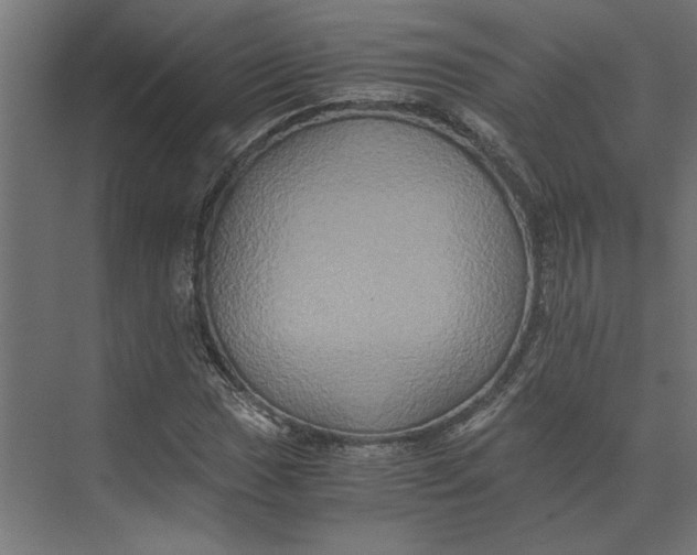 X0000073411017200608181049