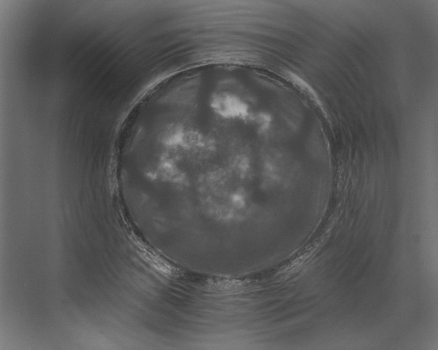 X0000073411019200608181049