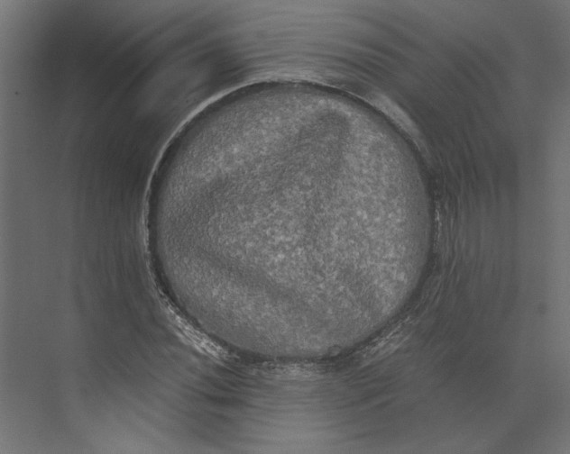 X0000073411020200608181050