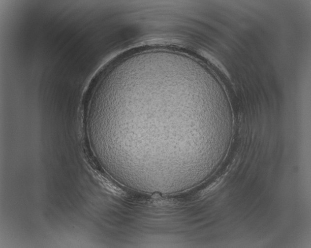 X0000073411021200608181050