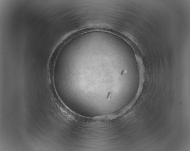 X0000073411022200608181050