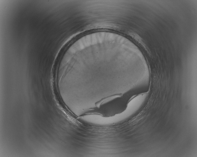 X0000073411024200608181050