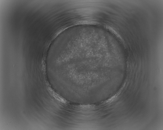 X0000073411025200608181050