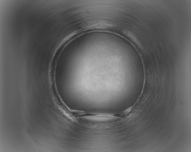 X0000073411026200608181050