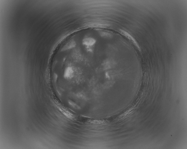 X0000073411027200608181050