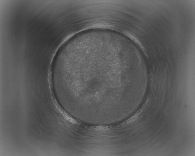 X0000073411029200608181050