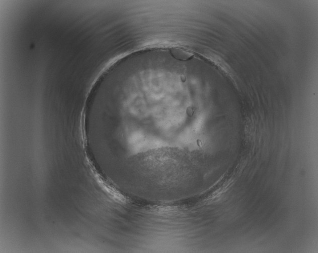 X0000073411030200608181050