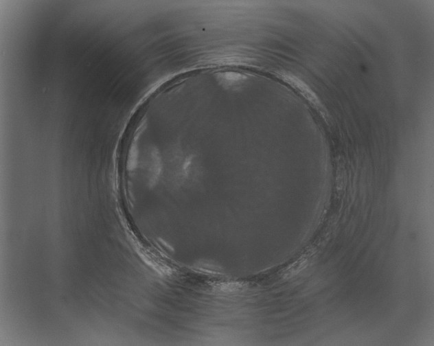 X0000073411031200608181050