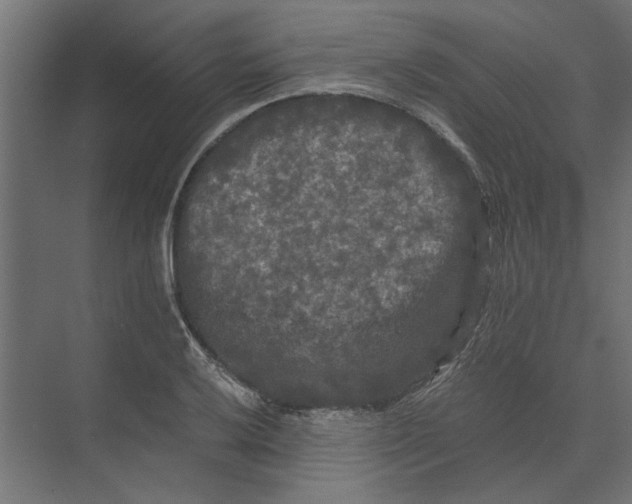 X0000073411032200608181050