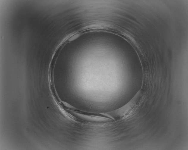 X0000073411034200608181050