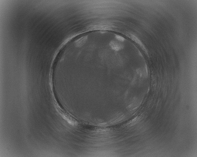 X0000073411035200608181050