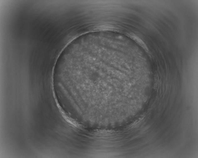 X0000073411039200608181050