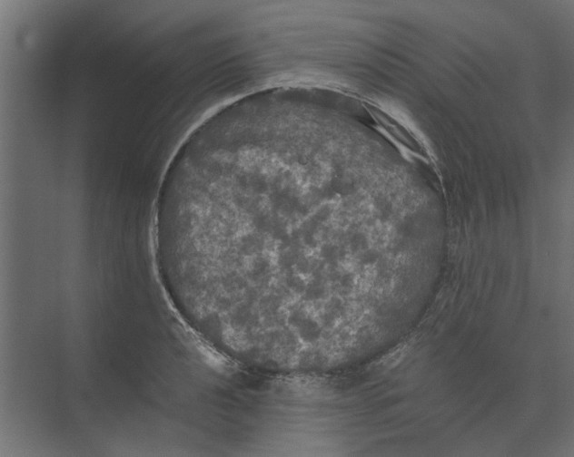 X0000073411040200608181050