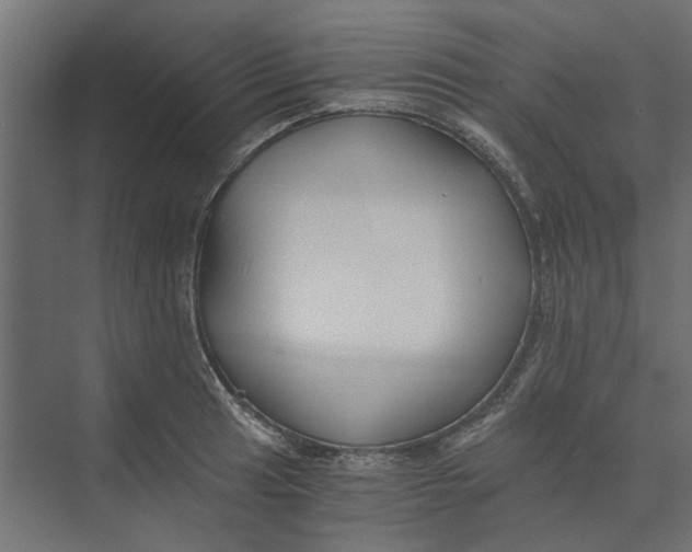 X0000073411041200608181050