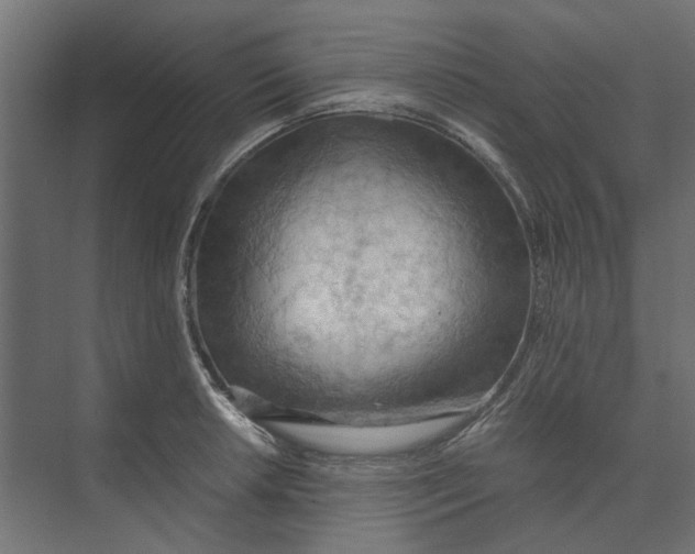 X0000073411042200608181050